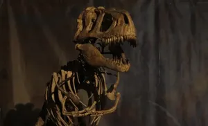 В главном музее Ямала открылась выставка "Эпоха динозавров"