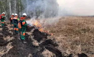 Дмитрий Артюхов ввел в округе особый противопожарный режим