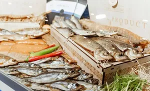 Новый рыбный цех в Салехарде: инновации и перспективы переработки рыбы