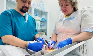 С 12 мая по 1 июня в госветклиниках Ямала стартует акция «Лето без забот»