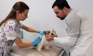 На Ямале празднуют столетие со дня открытия первого учреждения госветслужбы