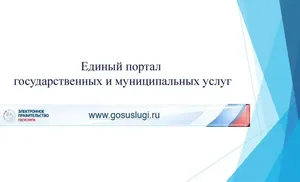Услуги Единого портала государственных и муниципальных услуг