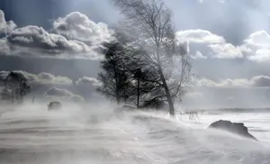 На Ямале прогнозируют сильную метель