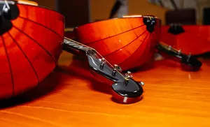 В ямальские школы искусств поступило около 200 новых музыкальных инструментов