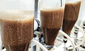 На Ямале впервые в России запущено тестирование биотехнологии выращивания нельмы в установках замкнутого цикла