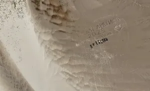 На Ямале подвели итоги масштабных экологических экспедиций