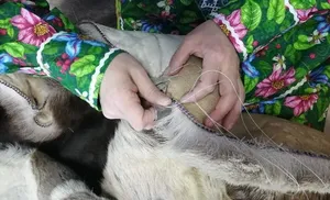 Международный этнофестиваль «Душа тундры» пройдёт в Салехарде в седьмой раз