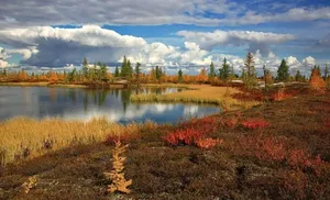 Ямальских фотографов приглашают участвовать во всероссийском конкурсе "Водные достояния России (осень) — 2025"