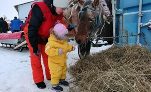 Рысью и галопом примчался праздник. Для особенных детей устроили новогодний утренник с добрыми лошадками