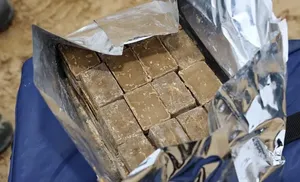 На Ямале проводится вакцинация диких животных против бешенства