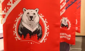 Северный характер: Режим работы спортивных объектов в новогодние  праздничные дни