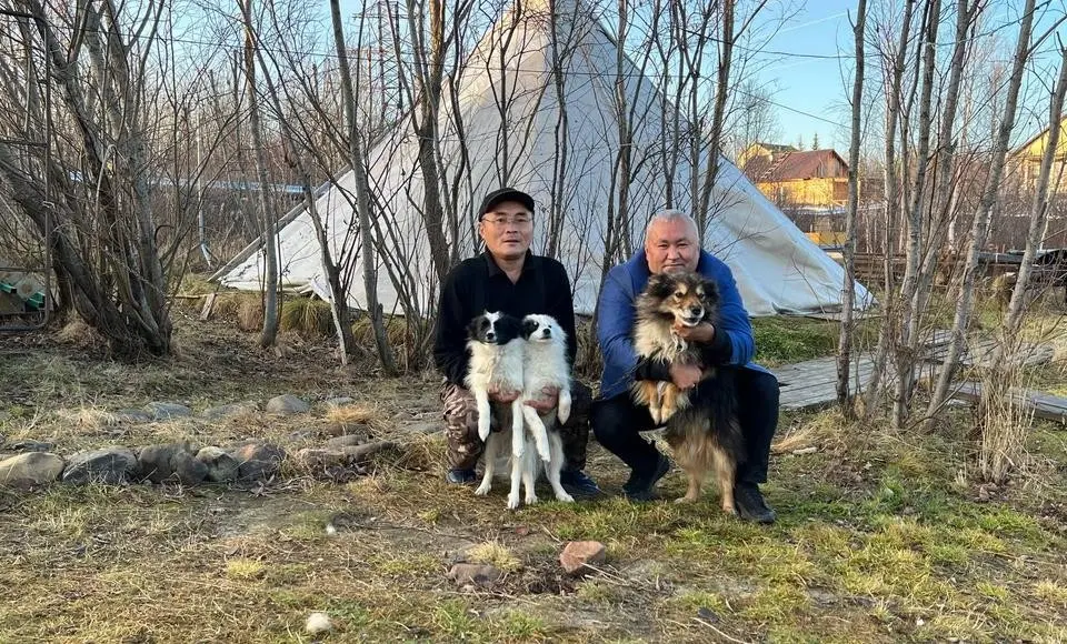 Эдуард Яунгад: Очередь на щенков ненецкой оленегонной лайки выстроилась на 8 лет вперёд