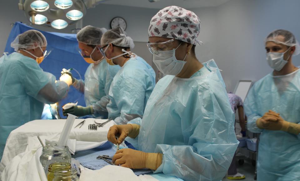 Ямальские больницы пополняют новые врачи