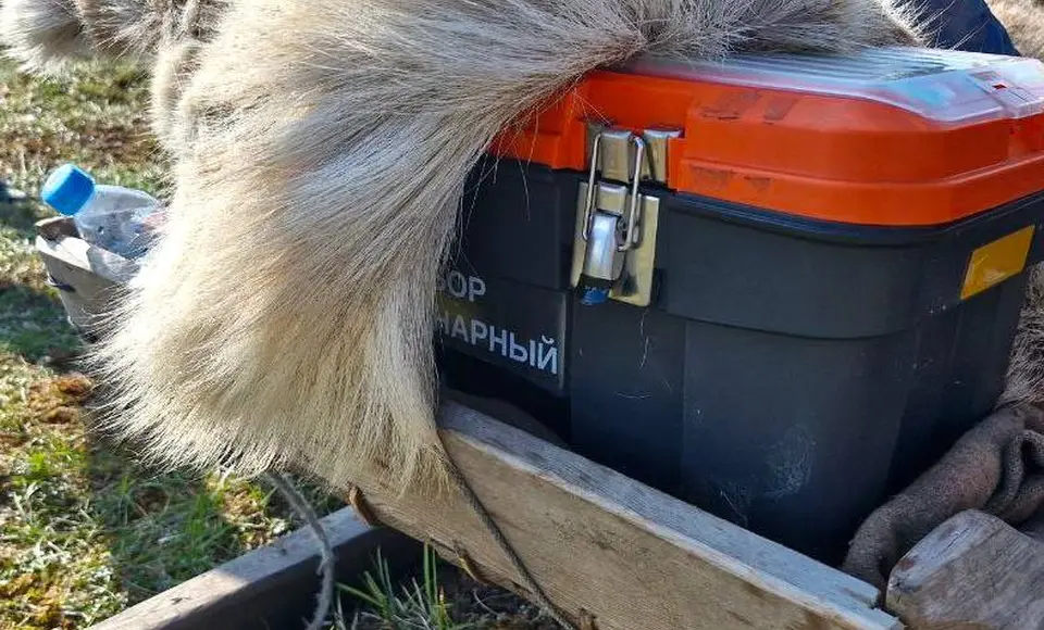 Ямальские оленеводы получат обновленные ветеринарные наборы с препаратами в 2025 году