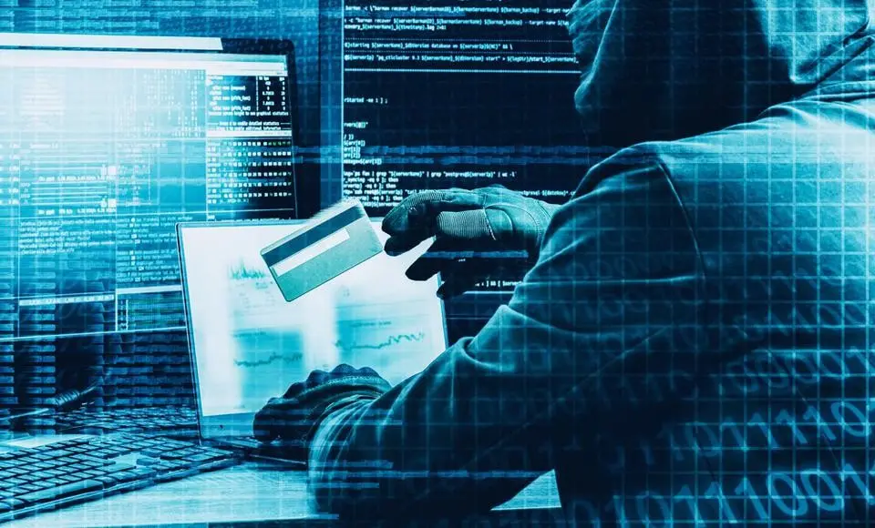 Ямал – уральский лидер по раскрываемости случаев кибермошенничества