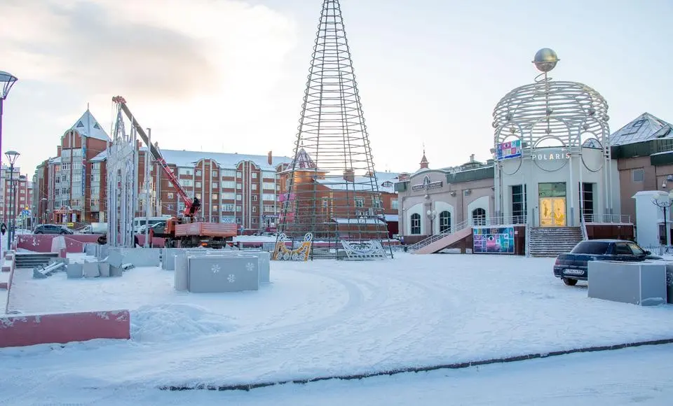 В окружной столице начался монтаж новогодних елей