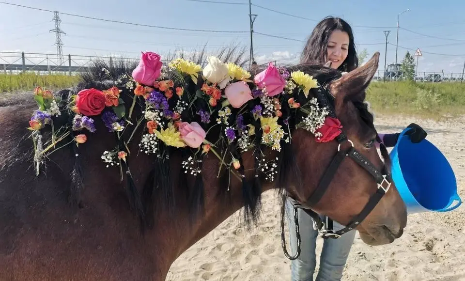 Встречи на знакомом берегу. Украсили свой ипподром и конские гривы