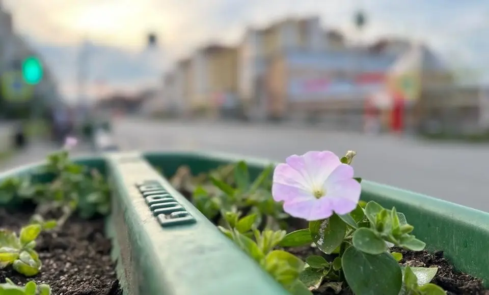 Коротко о важном