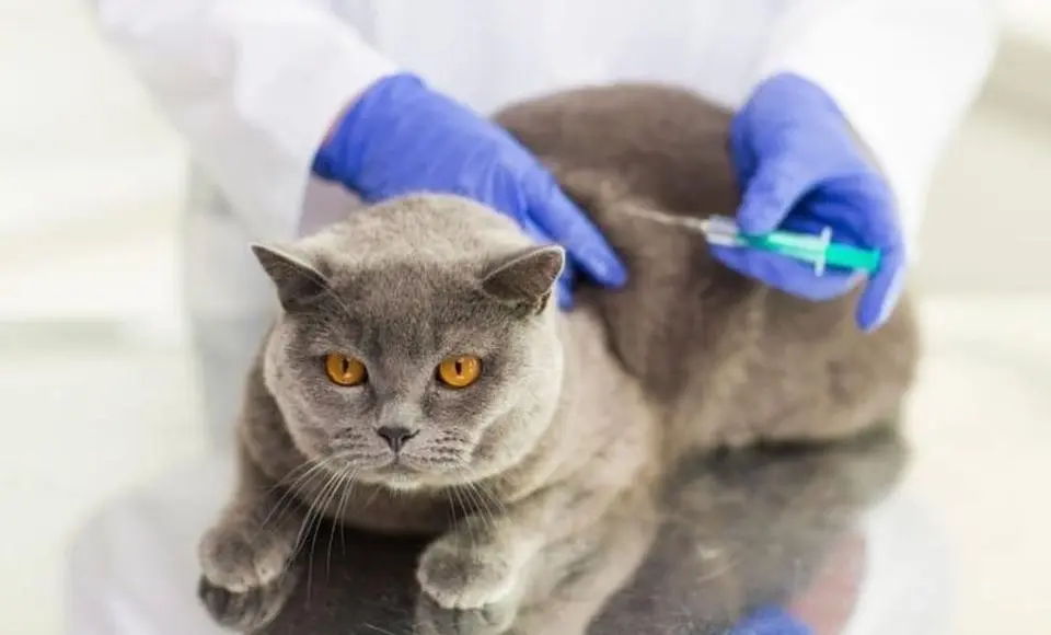 Не полагайтесь на авось. Вакцинация спасёт от смертельной опасности