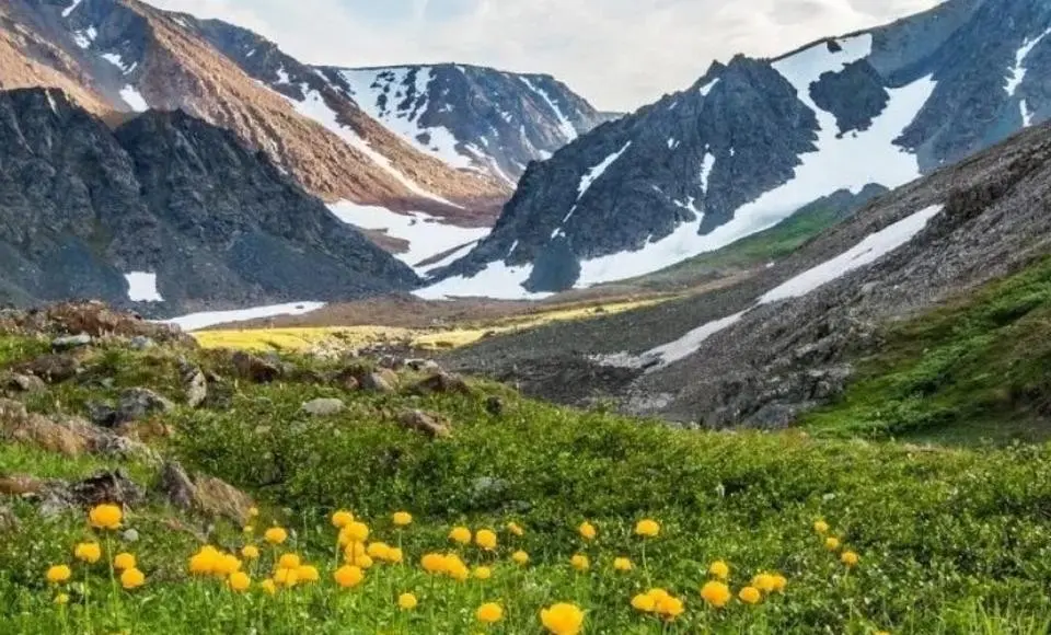 Смена для юных исследователей