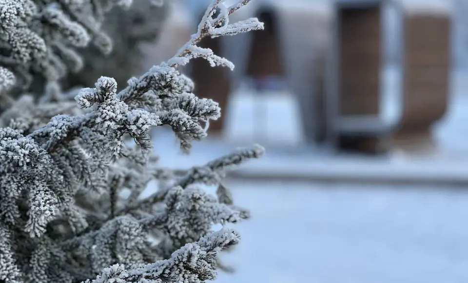 Главные новости недели