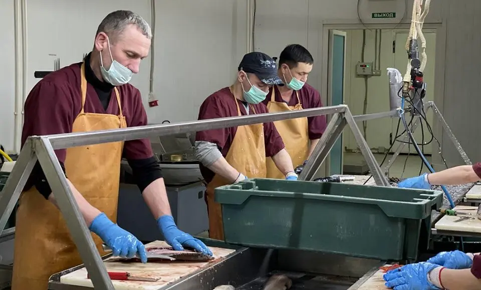 Салехардская артель расширяет производство