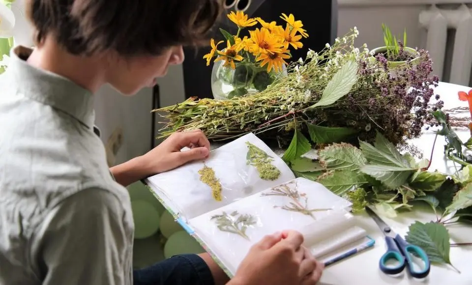 Салехардский проект участвует в голосовании форума «Сильные идеи для нового времени»