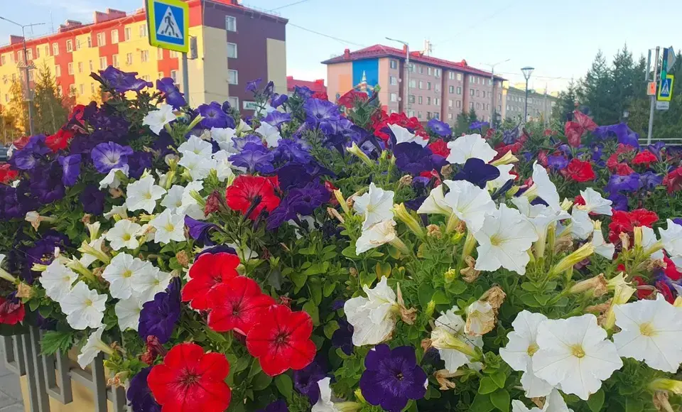 Коротко о важном