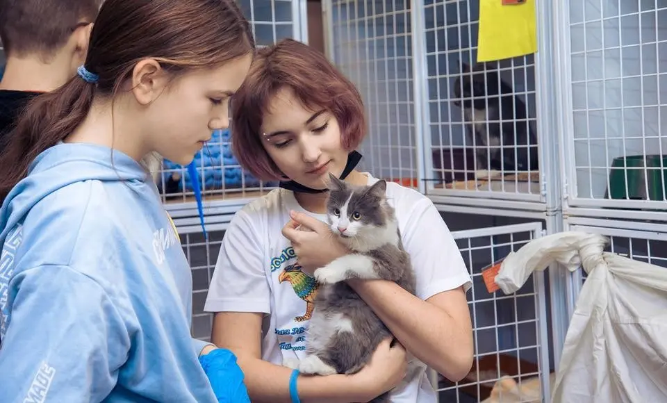 Добровольцы Ямала получат гранты губернатора