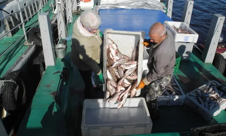 Летняя путина на Ямале набирает обороты