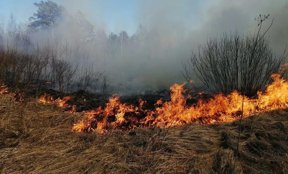 ЕДДС города Салехарда информирует о высоком уровне пожарной опасности в лесах