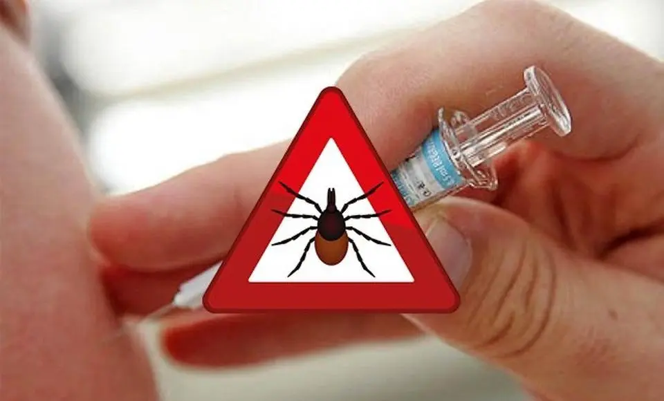 На Большой земле наступил сезон активности клещей. Северяне, отправляясь в отпуск, должны заранее позаботиться о вакцинации.