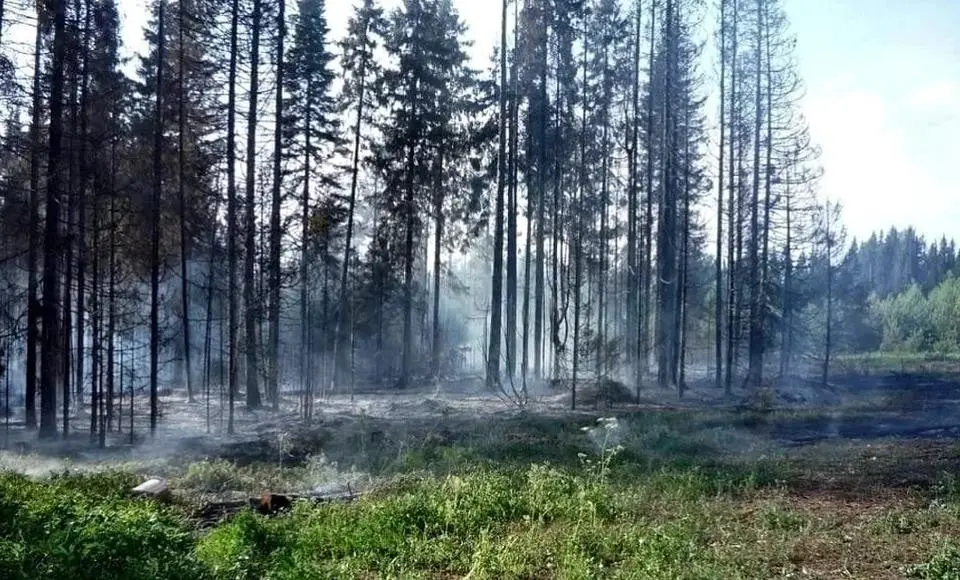 С пожарами на Ямале борются почти полторы сотни человек