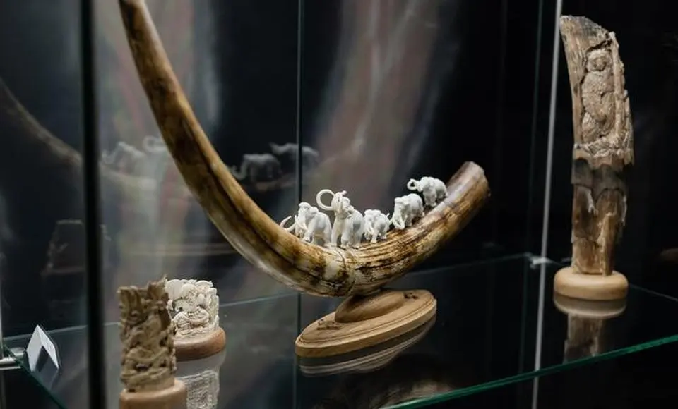 На кости – целый мир природы. Обмен опытом и открытие новых имён художников-резчиков