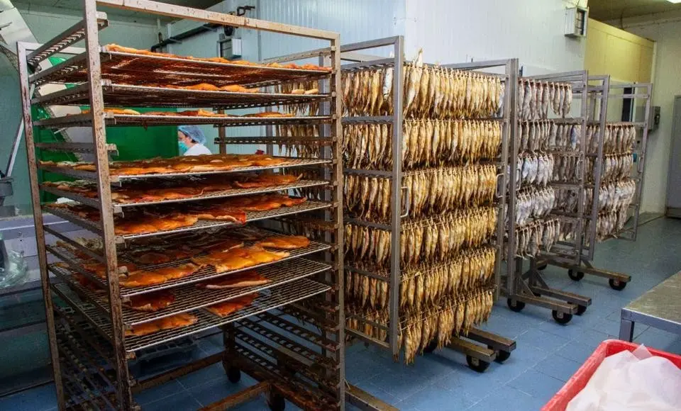 Рыба и эргономика