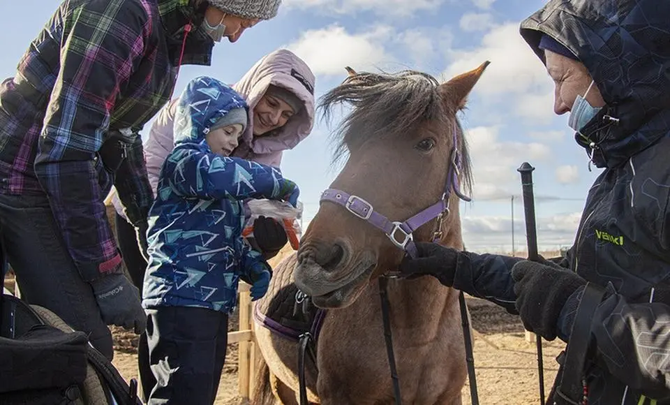 Крытые центры иппотерапии заработают на Ямале