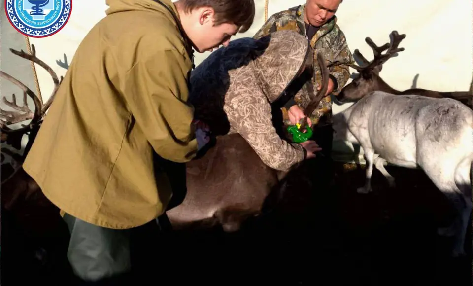 31 августа -День ветеринарного работника