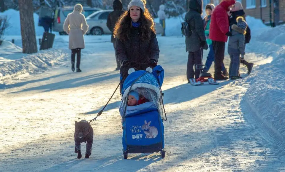 Социальный фонд России по ЯНАО назначил единое пособие родителям на 15 072 детей
