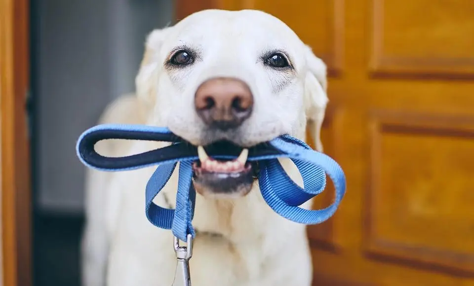 Ямальские законодательные инициативы поддержали на федеральном уровне