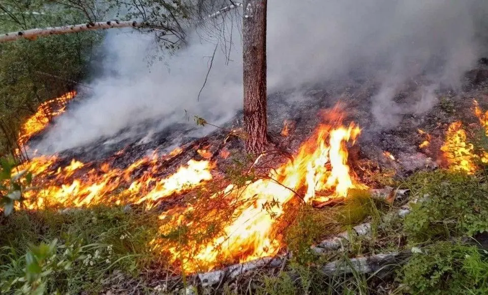 На Ямале увеличилось количество пожаров