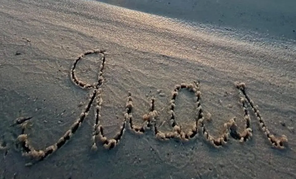 В год экологии ямальцам предлагают пройти тематический тест на знание экологического законодательства