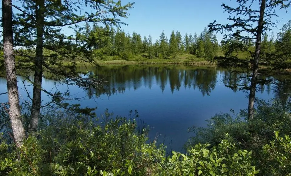 С сегодняшнего дня на Ямале введен особый противопожарный режим