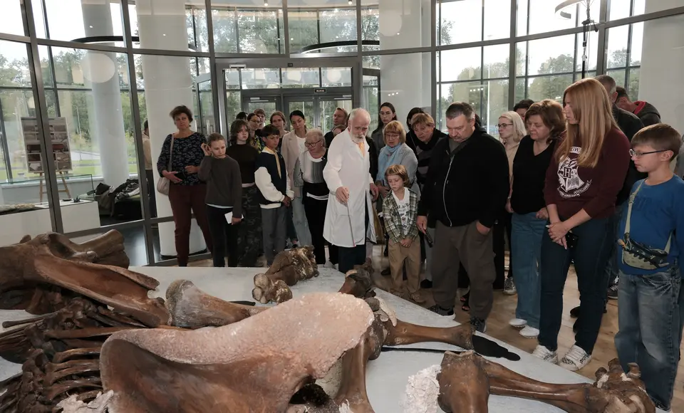 Отреставрированный ямальский мамонт Тадибе представлен на выставке в Ленинградской области