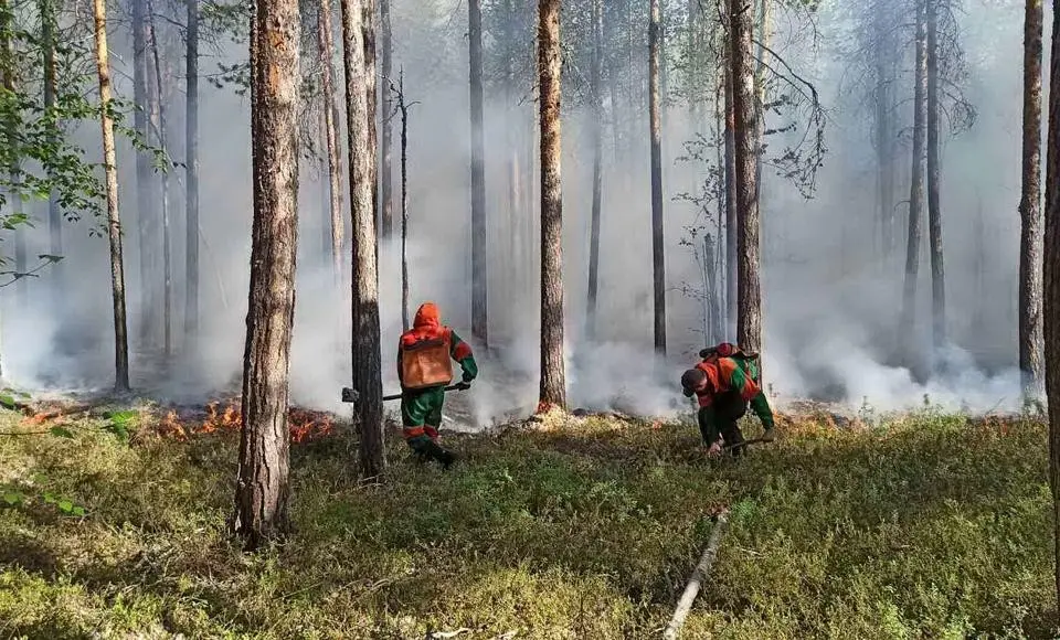 На Ямале ликвидированы все природные пожары