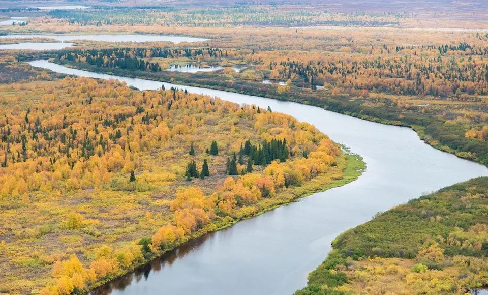 Освоить Север. На выбор – около двадцати тысяч гектаров арктической земли