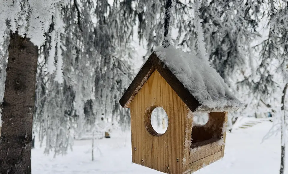 Коротко о важном