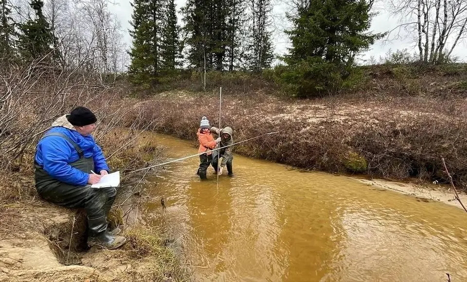 По ручьям Ангальского и реке Полуй. За изменениями качества воды следят учёные