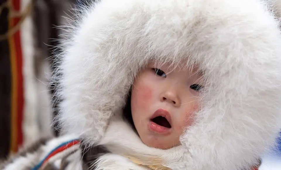 Новинки Дня оленевода в этом году