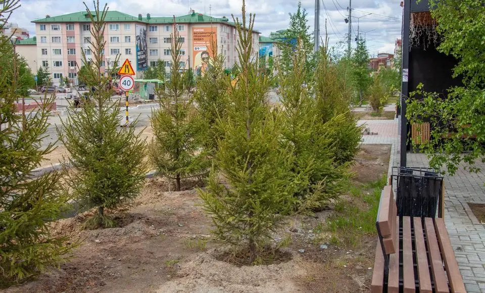 Подведены итоги сезона озеленения нашего города