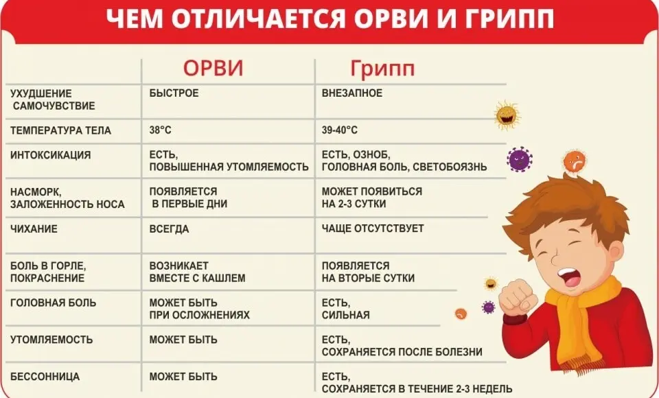 ОРВИ или грипп?